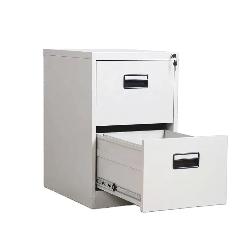 2 Drawer Vertical File Cabinet fits A4, Legal Paper and Letter Paper for Home Office